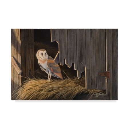 Wilhelm Goebel 'Ready For The Hunt Barn Owl' Canvas Art,30x47